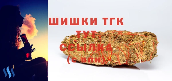 дмт Гусиноозёрск