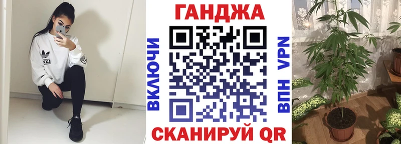 mega tor Каменногорск Шишки марихуана THC 21% цена наркотик